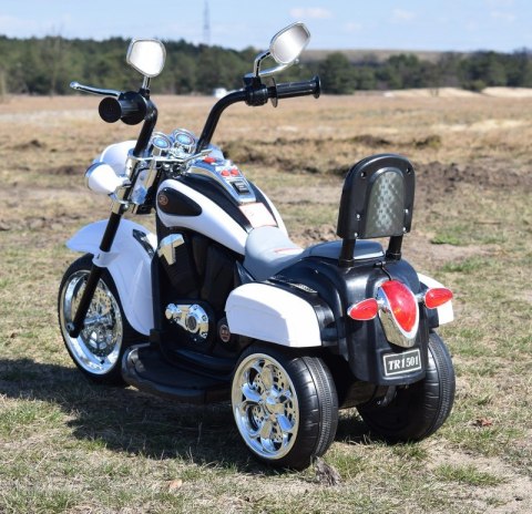 MOTOR CHOPPER Z OPARCIEM, WARKIEM SILNIKA/TR1501 MOTOR CHOPPER Z OPARCIEM, WARKIEM SILNIKA/TR1501