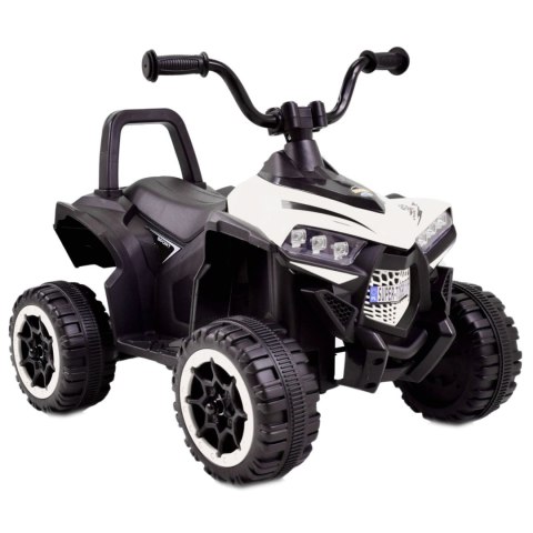 QUAD SPORT NA AKUMULATOR, DWA SILNIKI/BDQ-8111 QUAD SPORT NA AKUMULATOR, DWA SILNIKI/BDQ-8111