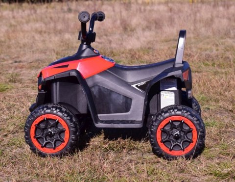 QUAD SPORT NA AKUMULATOR, DWA SILNIKI/BDQ-8111 QUAD SPORT NA AKUMULATOR, DWA SILNIKI/BDQ-8111