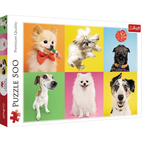 Puzzle 500 el. Psy Trefl 37378 Puzzle 500 el. Psy Trefl 37378