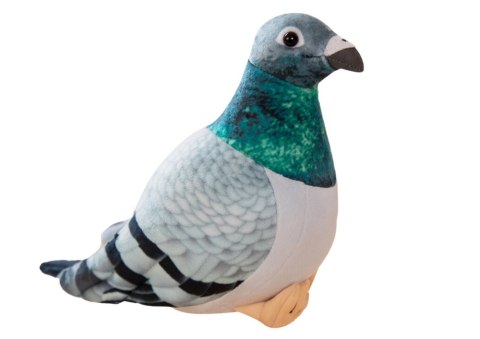 Maskotka Pluszowy Gołąb Grzywacz Szary 20cm Maskotka Pluszowy Gołąb Grzywacz Szary 20cm