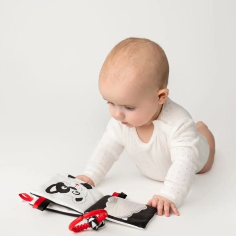 Sensoryczna książeczka Kto to? Co to? dla niemowląt 0+ Mom's Care