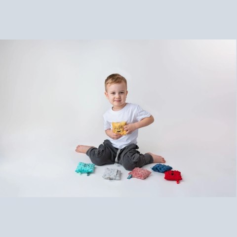 Sensoryczne woreczki Emocje do zabawy 12m+ Mom's Care