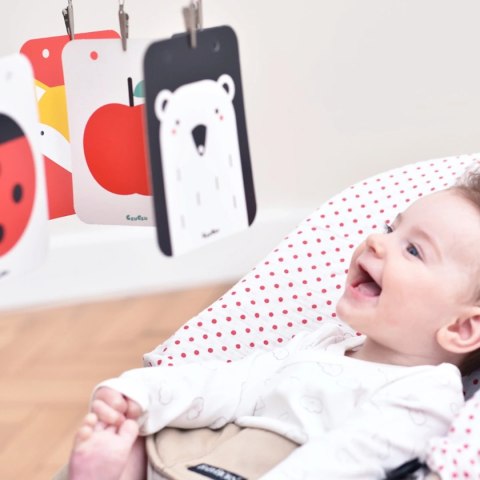 Karty kontrastowe CzuCzu Starter malucha z książeczkami harmonijkami 0-6 miesięcy