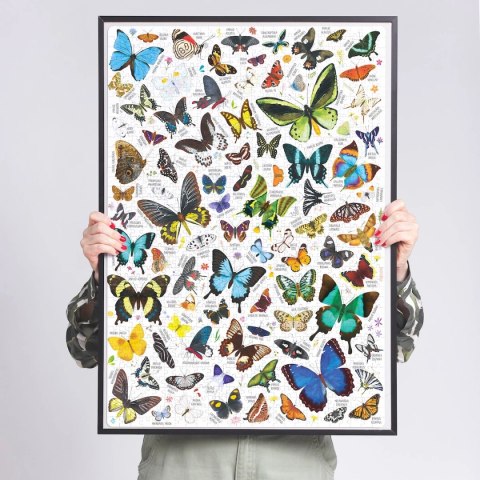 Puzzle CzuCzu Puzzlove Motyle 1000 elementów