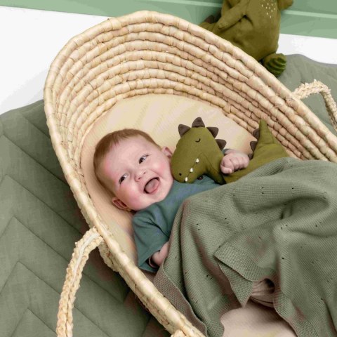 Mały pluszak - Dinozaur Trixie Baby