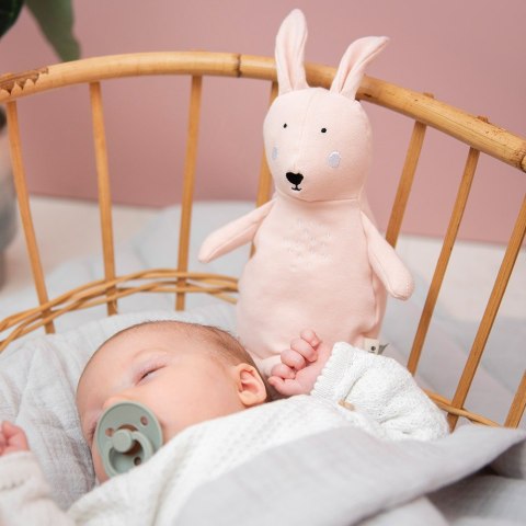 Mały pluszak - Królik Trixie Baby