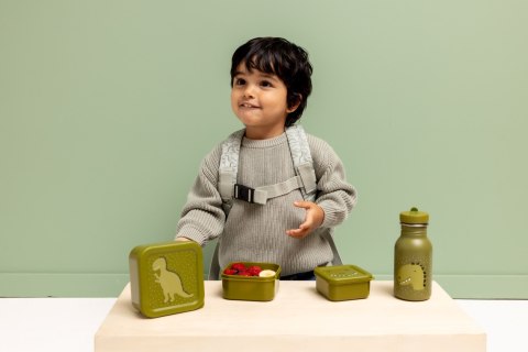 Zestaw pojemników na przekąski 3 szt. - Dinozaur Trixie Baby