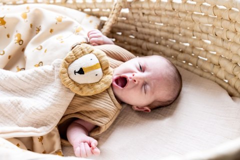 Przytulanka Lew - Bliss Beige Trixie Baby