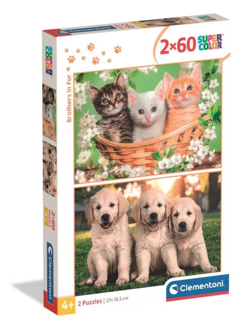 Puzzle 2x60 Super Color BRACIA W FUTRACH PIESKI I KOTKI Clementoni 24820