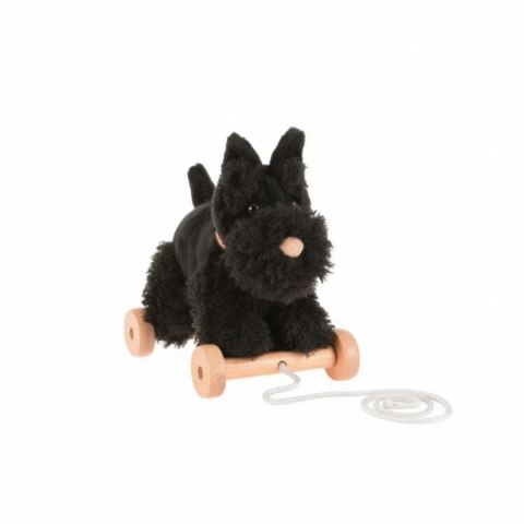 Pluszowy piesek Walter do ciągnięcia na kółkach - Egmont Toys 1+