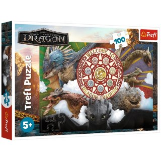 Puzzle - 100 - Smoki w akcji - Jak wytresować smoka - Trefl 16524