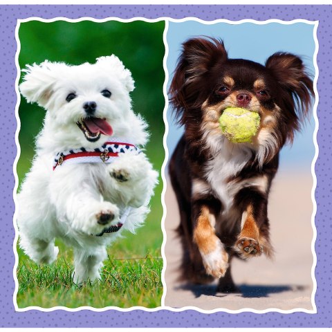 Puzzle - 3w1 (20, 36, 50) - Urocze pieski - Trefl 34854