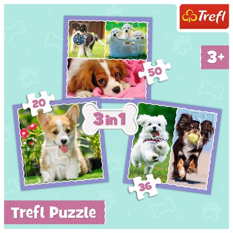 Puzzle - 3w1 (20, 36, 50) - Urocze pieski - Trefl 34854