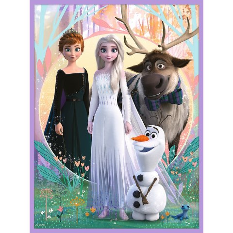 Puzzle + MEMOS - 2w1 (30,48) - Księżniczki w swojej krainie - Disney Kraina Lodu - Trefl 93335