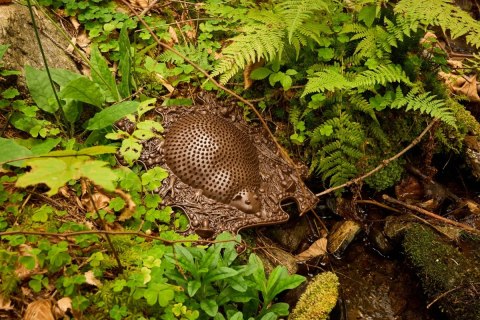 Muffik Barwy Natury - zestaw 9 mat sensorycznych 12 msc+