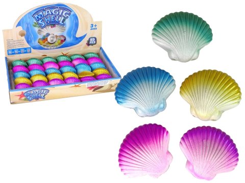 Zwierzęta Morskie Rosnąca Magiczna muszla 6 cm Zwierzęta Morskie Rosnąca Magiczna muszla 6 cm