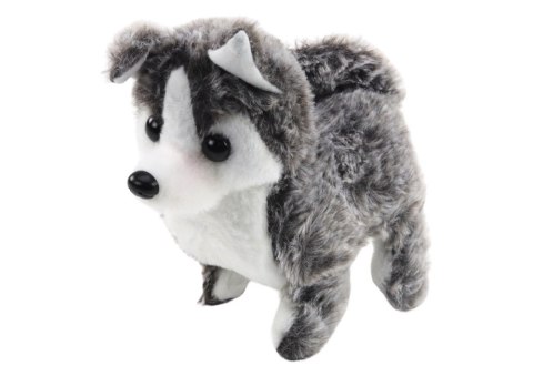 Piesek Husky Chodzący Z Dźwiękiem Macha Ogonkiem 6 Kolorów Piesek Husky Chodzący Z Dźwiękiem Macha Ogonkiem 6 Kolorów